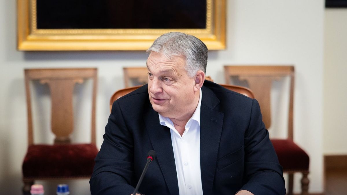 Orbán Viktor szerint Brüsszel magyarországi megbízottjai hátba támadják a magyarokat