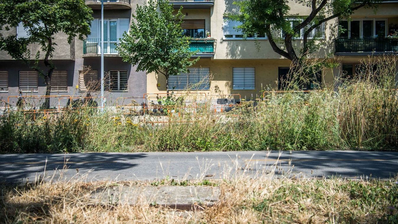 Facebook/Böröcz László