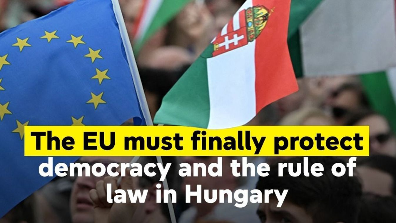 Cikk kép: undefined