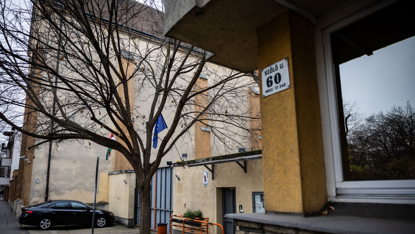 Cikk kép: undefined