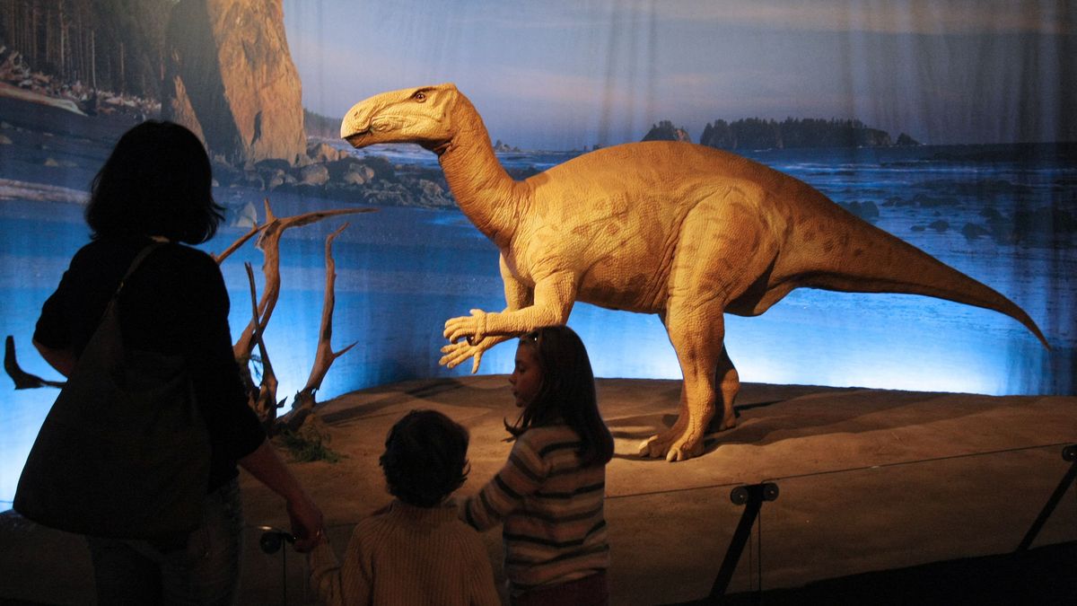 A baloldal gazdaságpolitikája egy evolúciós termék