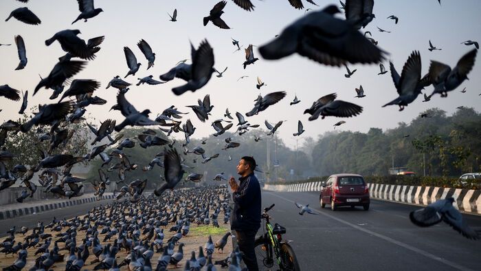 Reggeli ima az út mentén egy szmogos reggelen Újdelhiben