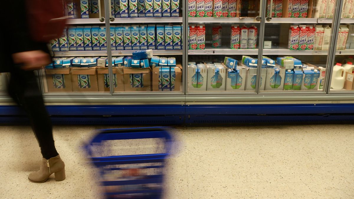 Tesco, kereskedelem, tojás, tej , baromfi, ÁFA csökkentés, vásárlás drágulás