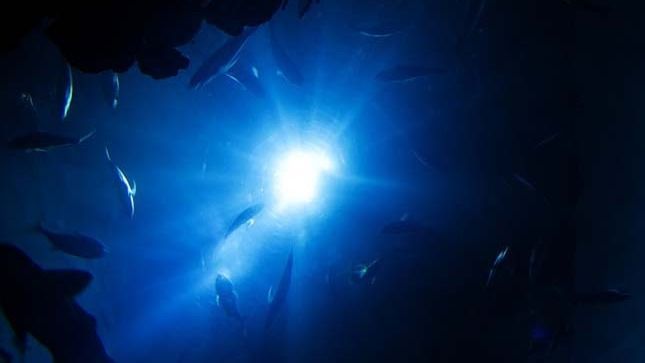 Kvíz kérdést ábrázoló kép.