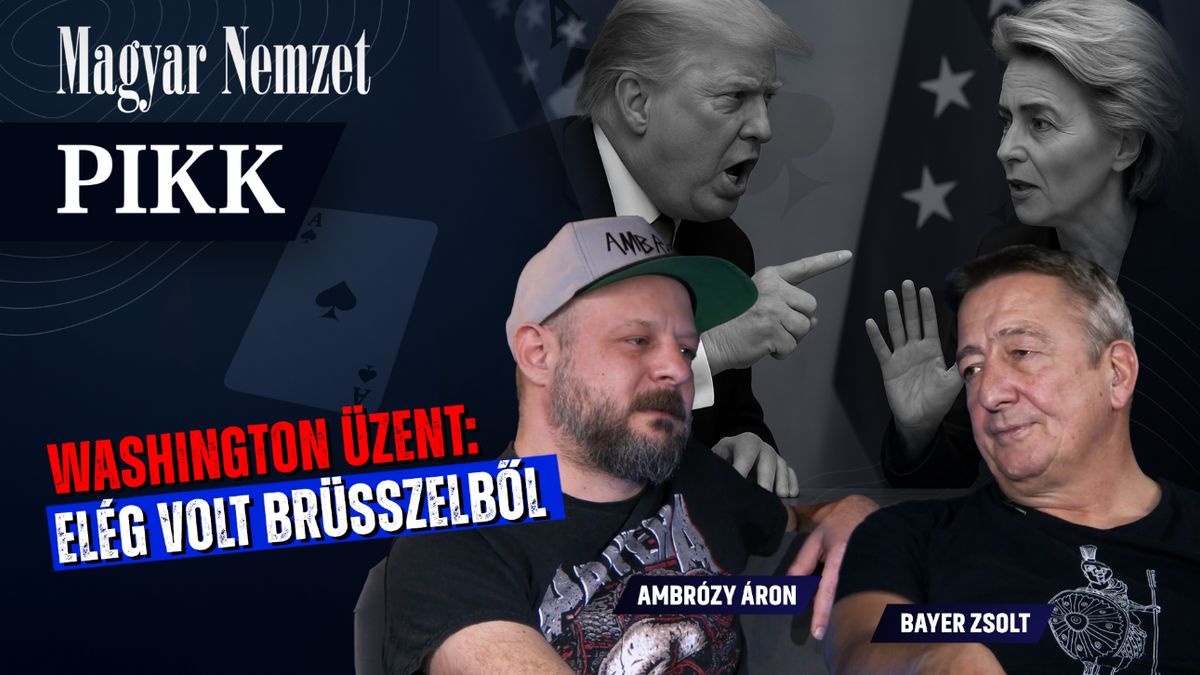 Pikk Bayerrel és Ambrózyval – Az EU, mint NGO + videó