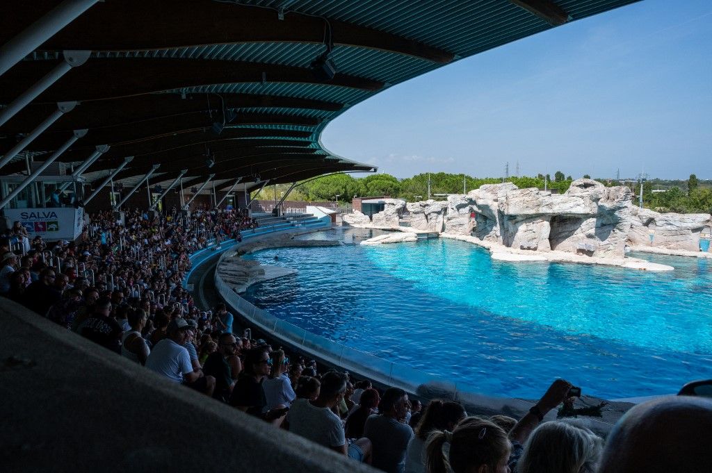 A festői Riccione a Villa Mussolini mellett az itt található delfináriumról is nevezetes
