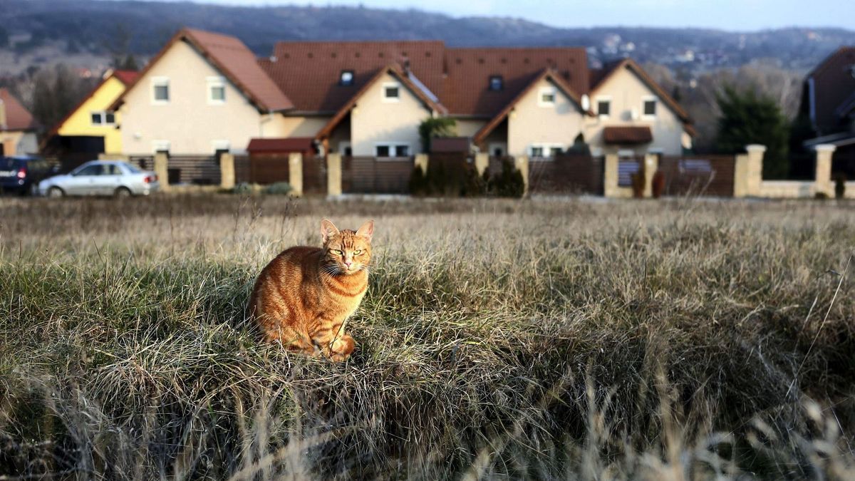 lakástulajdon, csok családok otthonteremtési támogatása hitel lakásépítés házépítés építkezés kertváros ingatlan telek eladó telek építési telek családi házas övezet szocpol A KÉPEK FÓT környékén készültek , tehát nem a fõvárosban hanem agglomerációban