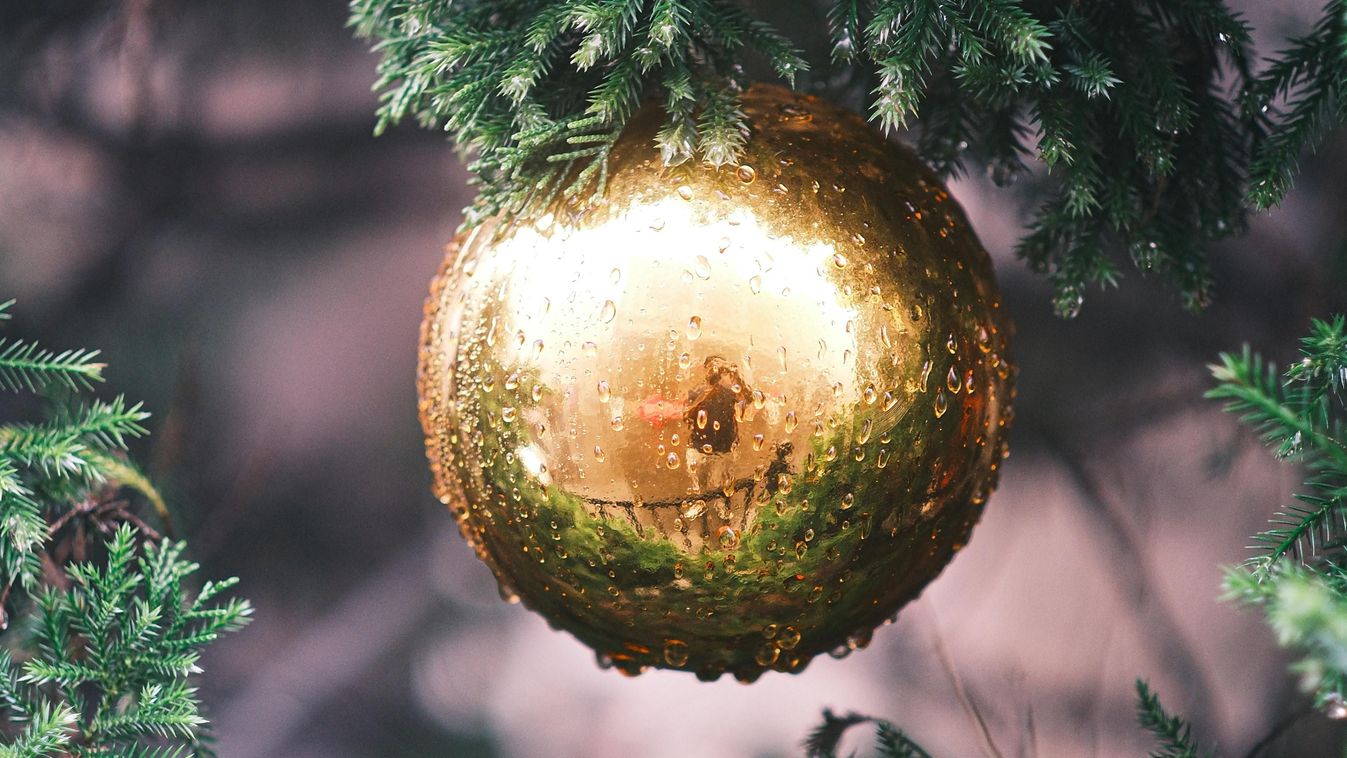 Cikk kép: undefined