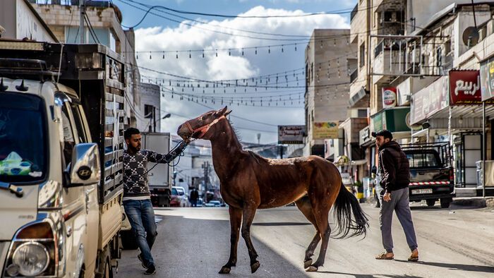 Csudai Sándor fotói