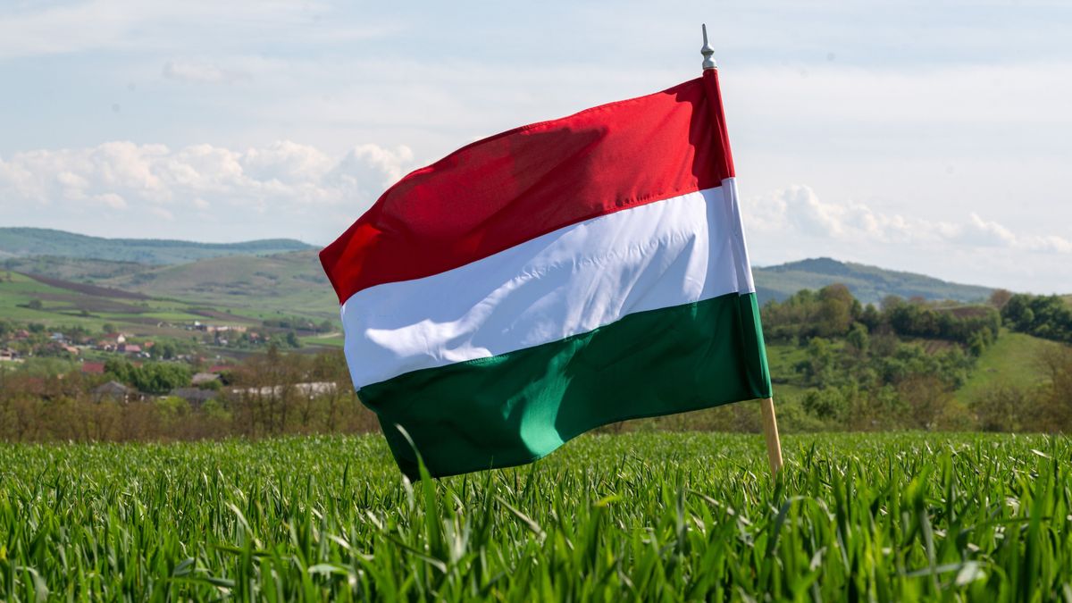 Egy felmérésből kiderül, a magyarok többsége büszke a magyarságára