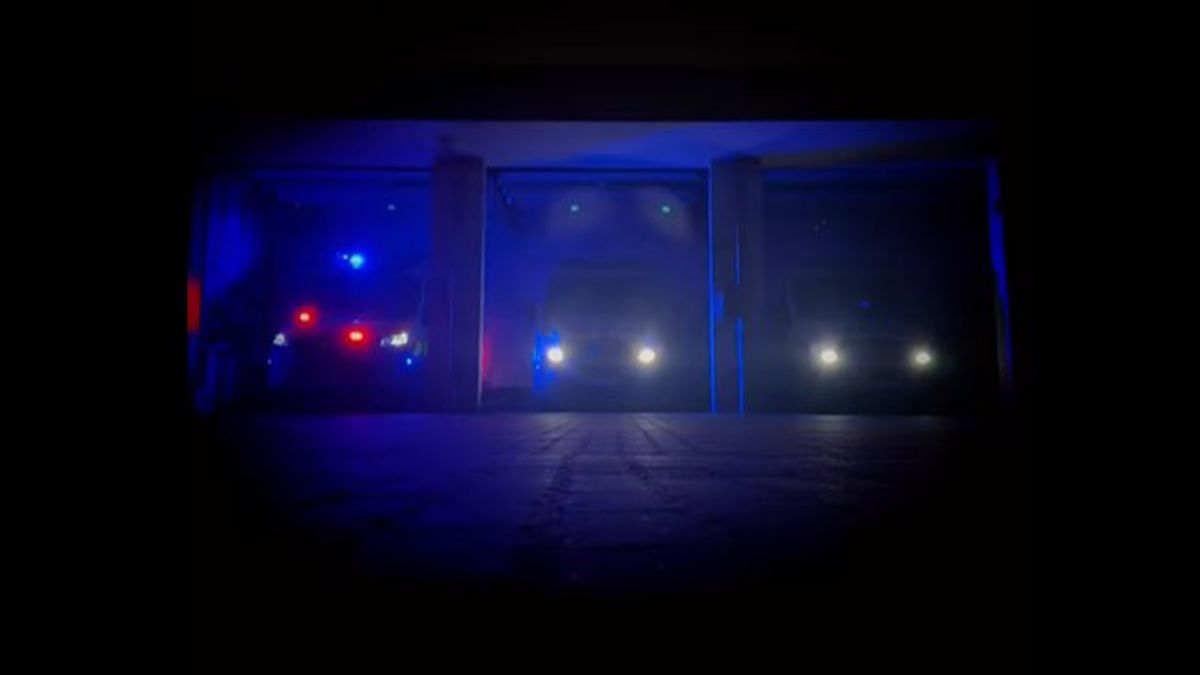 Karácsonyi fényjátékkal köszöntötte az ünnepet a pápai mentőállomás