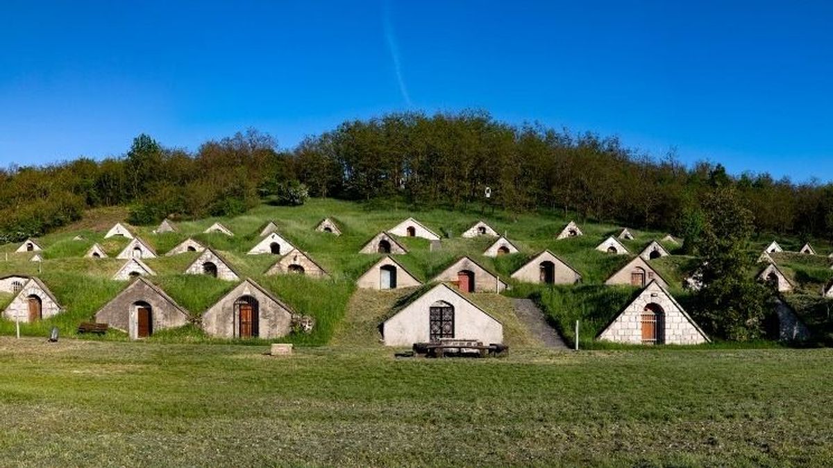 Miben bíznak a tokaji gazdák - mennyire lesz jó az idei aszú?