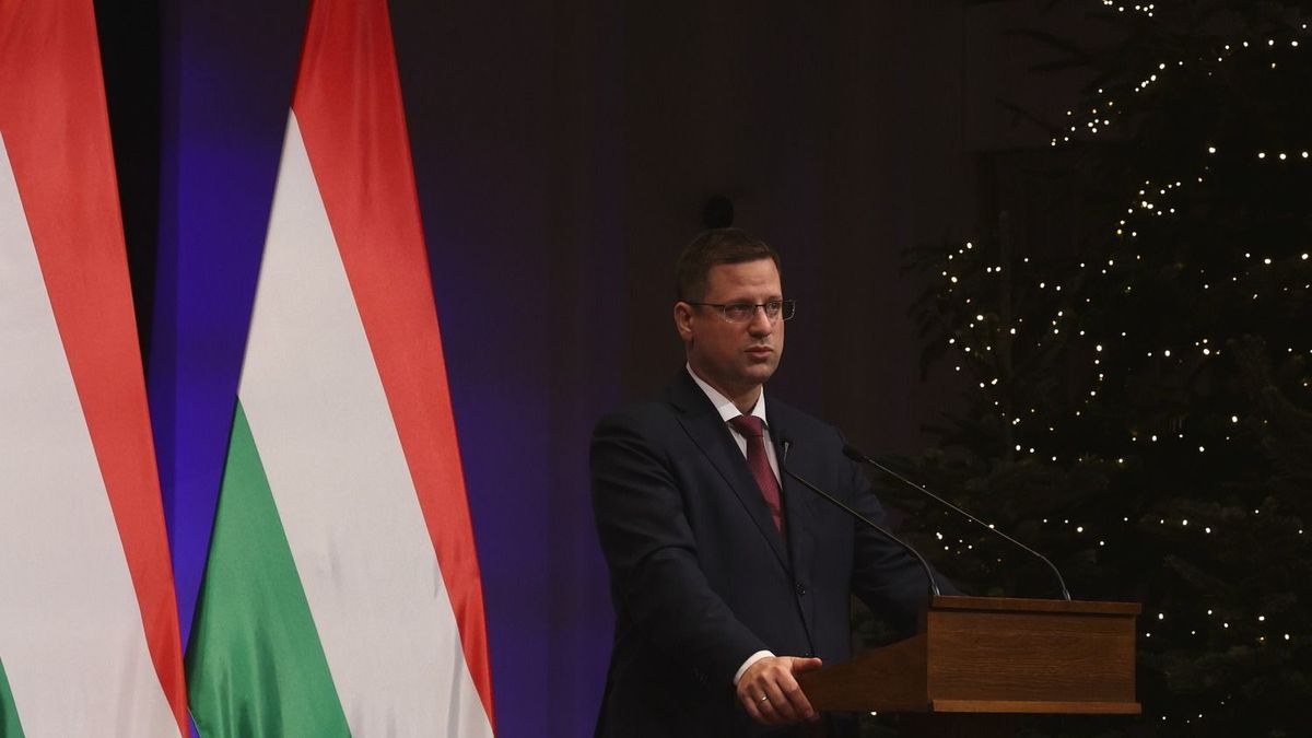 Kormányinfó
Havran Zoltán