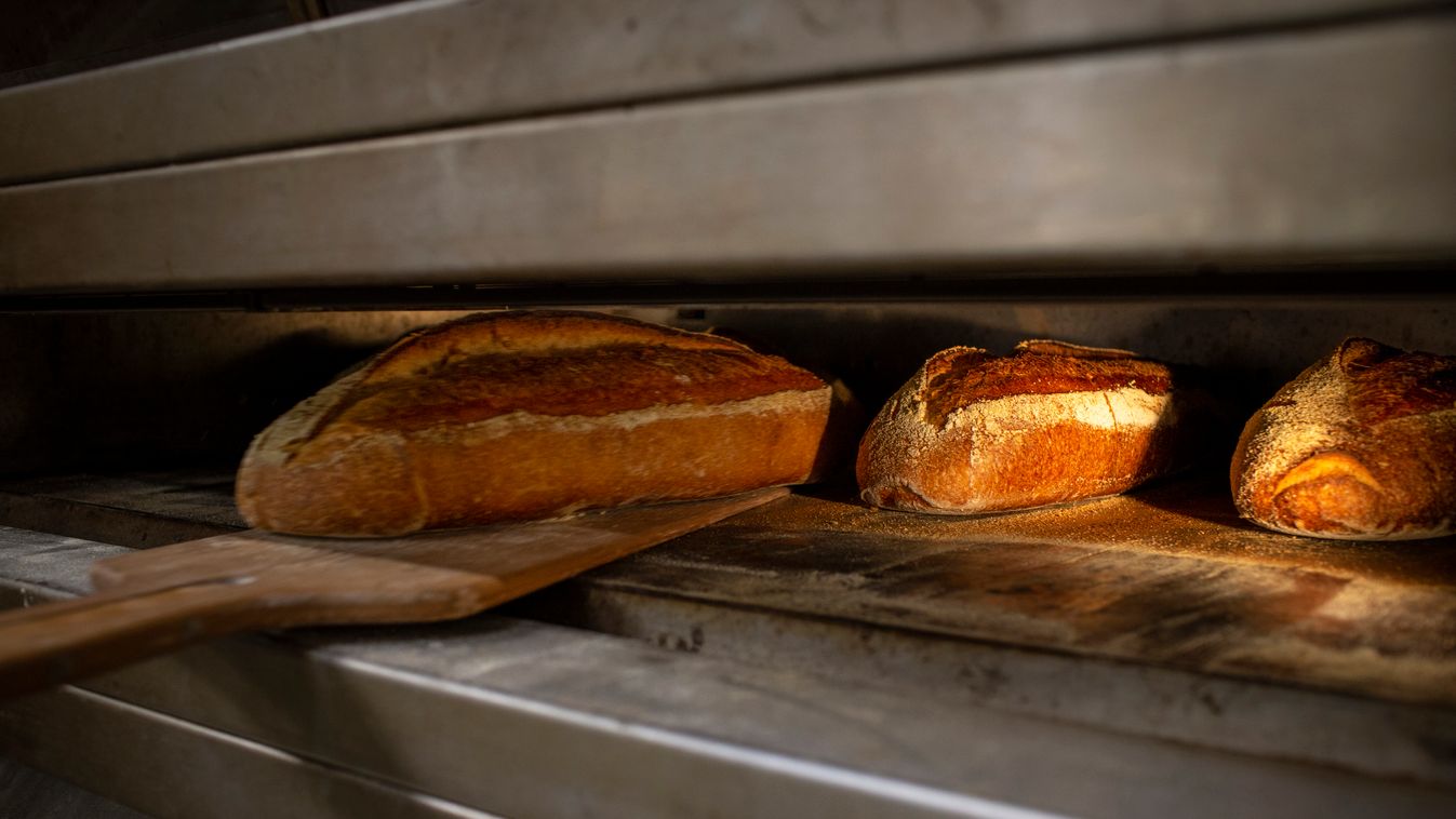 2020.02.02. Budapest, pékség a Városmajor u-ban
1206 Lugas