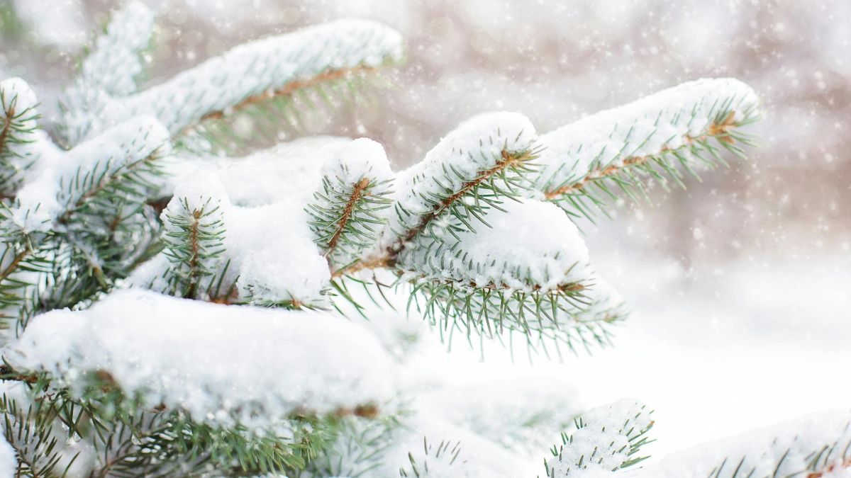 Kiderült, lesz-e fehér karácsony + videó