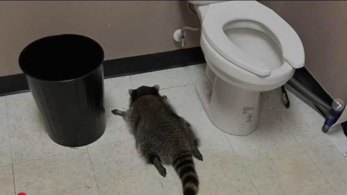 Képernyőkép/APnews