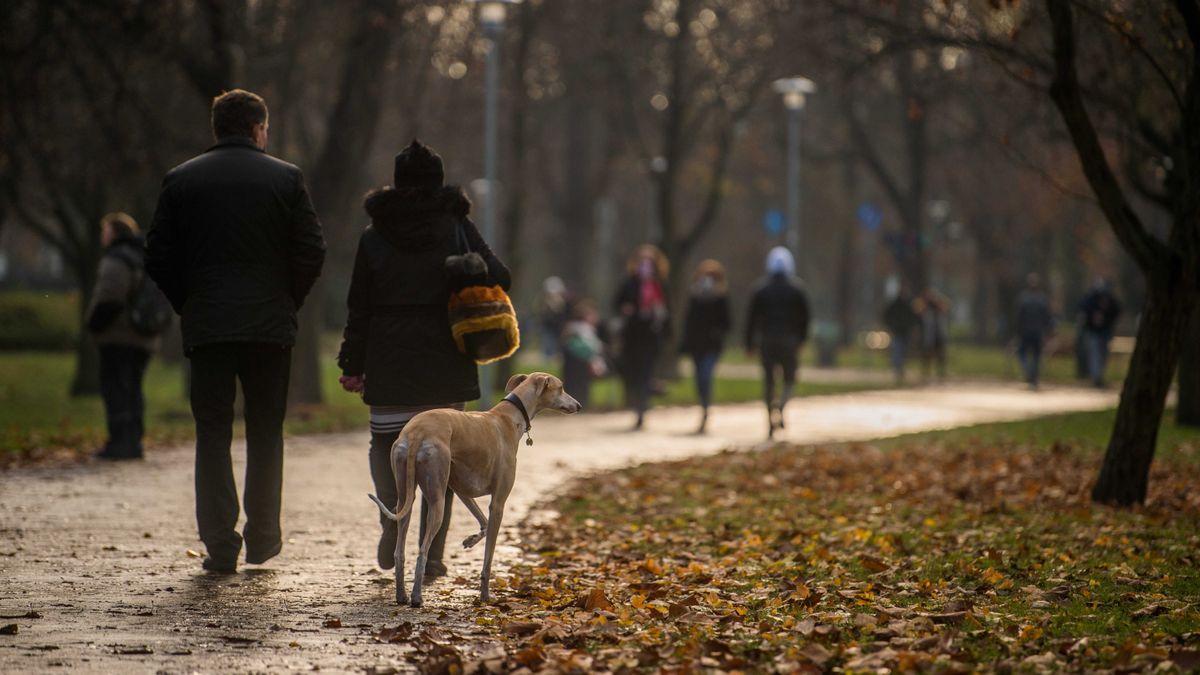 Napsütés várható az év utolsó napjain