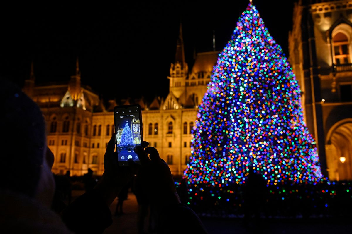 Budapest, 2024. december 1.
Az ország karácsonyfája, miután felkapcsolták a fényfüzért és nyolcágú csillag alakú csúcsdíszét a budapesti Kossuth Lajos téren 2024. december 1-jén. A 20 méter magas karácsonyfa, amely egy dubicsányi családi ház kertjéből érkezett a Parlament elé, adventtől vízkereszt napjáig díszíti a teret, lebontását követően pedig a faanyagot - tűzifaként - rászorulóknak ajánlotta fel az Országgyűlés Hivatala.
MTI/Lakatos Péter
