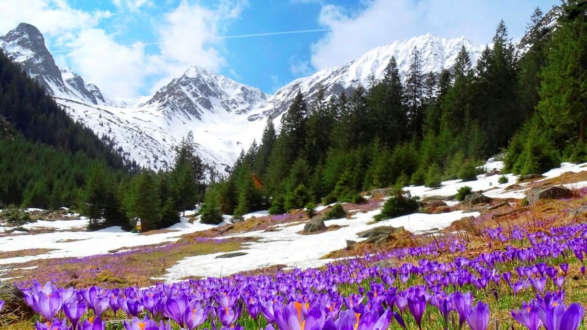 Mérföldkőhöz érkezett Erdély egyik legfontosabb folyóirata