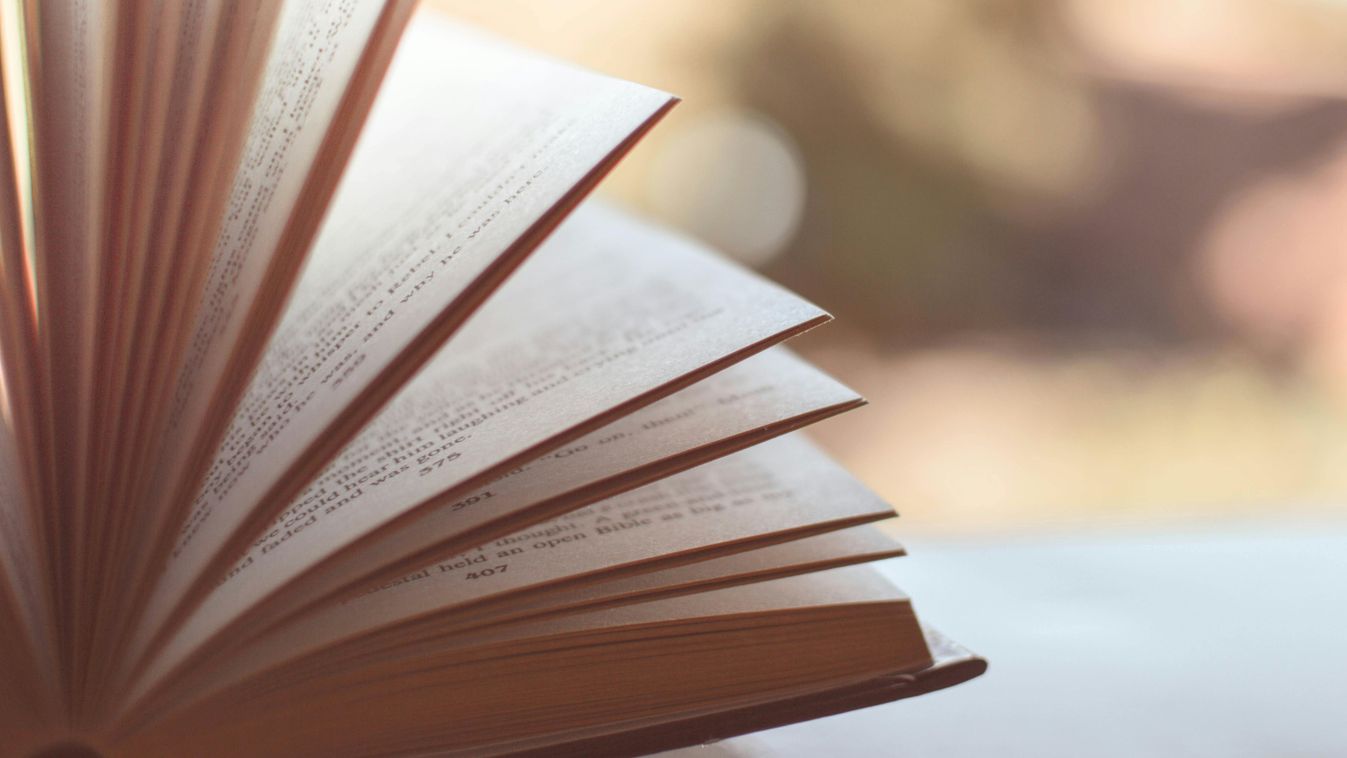 Cikk kép: undefined