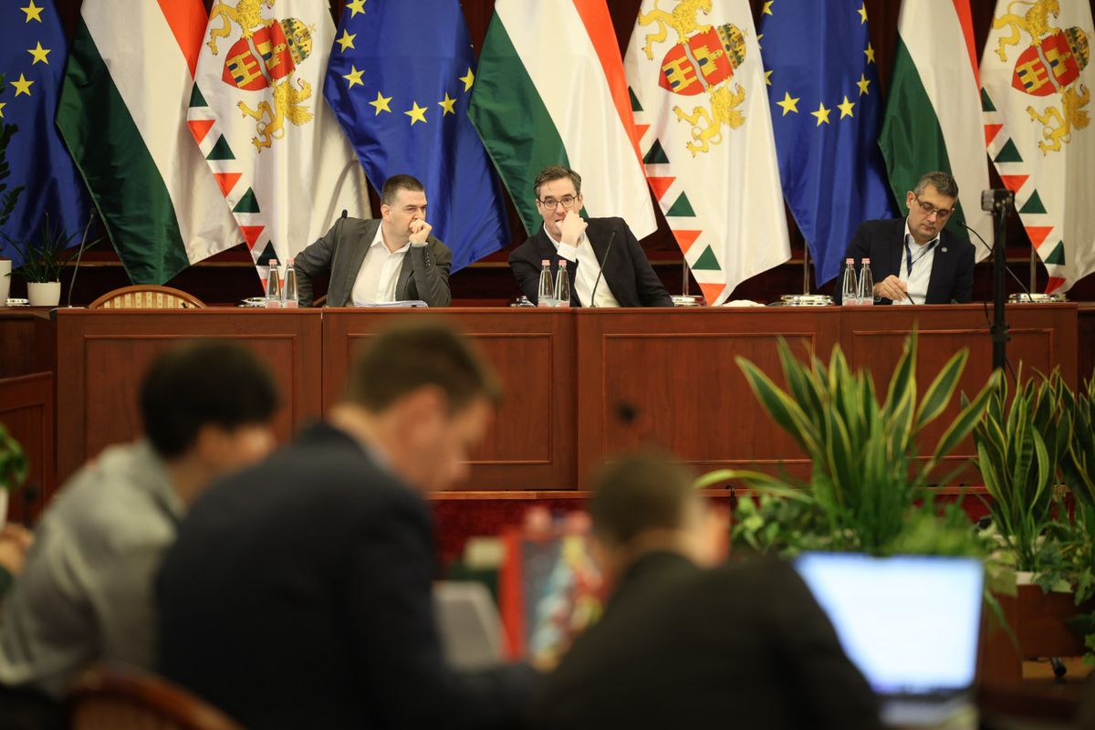 Fővárosi közgyűlés