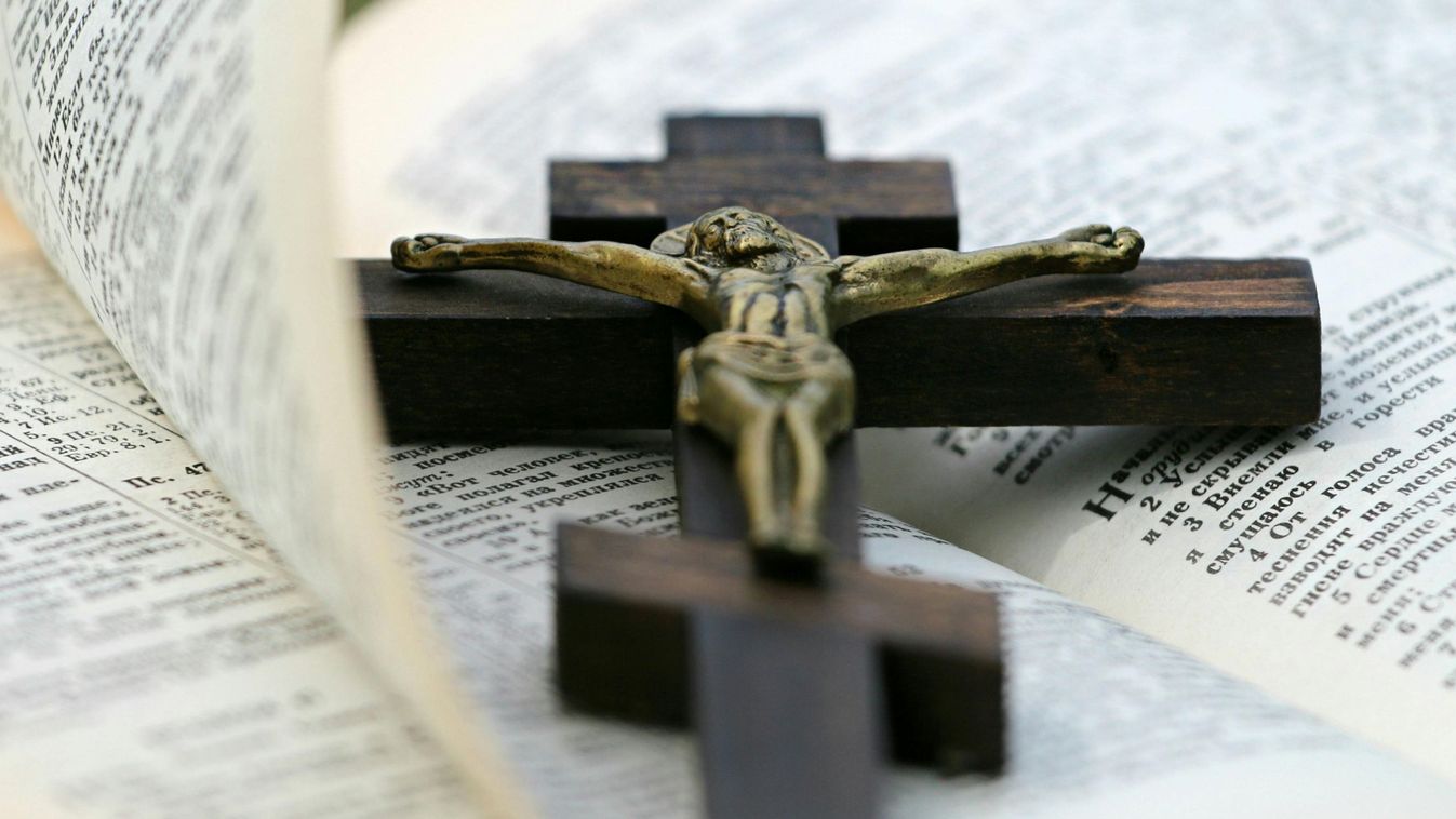 Cikk kép: undefined