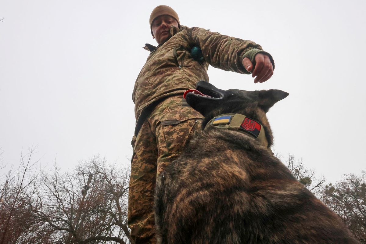 Az ukrán Nemzeti Gárda egyik katonája az 5. Szlobozsanszka dandár felkészítésén Harkivban