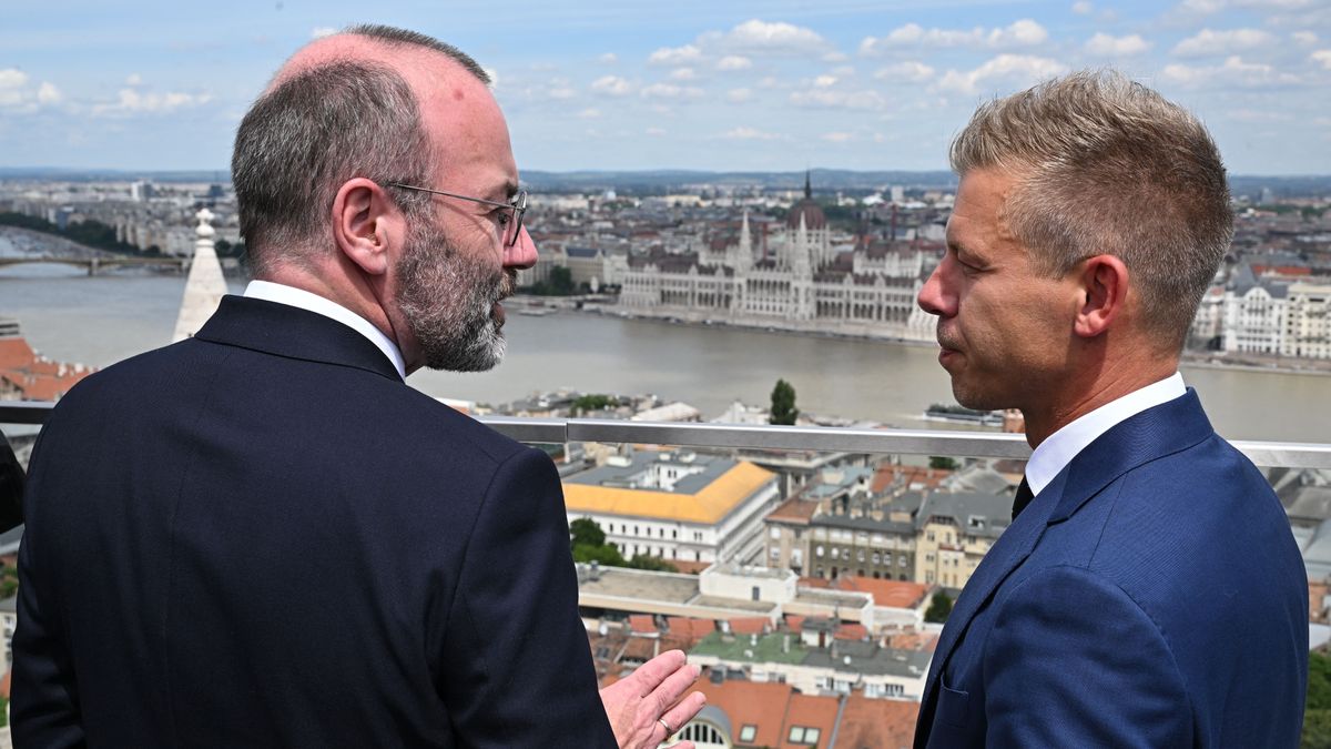 Manfred Weber tovább vergődik, el akarja venni az orosz vagyont