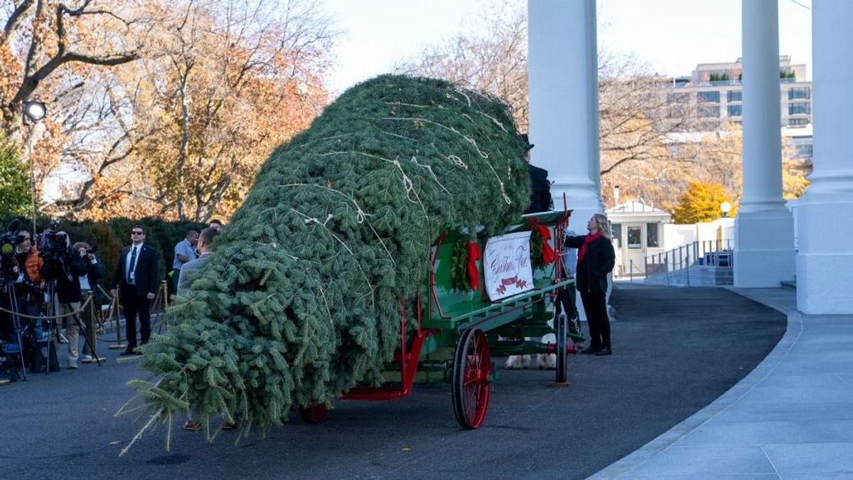 Semmiképpen ne adjunk karácsonykor ilyen ajándékot a gyereknek