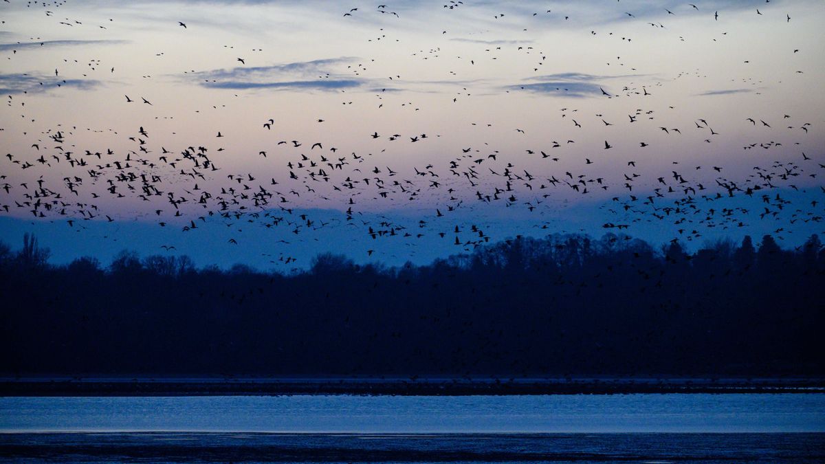 Már vágják a centit a nagy fordulatig a meteorológusok, sejteni vélik, mikor jön