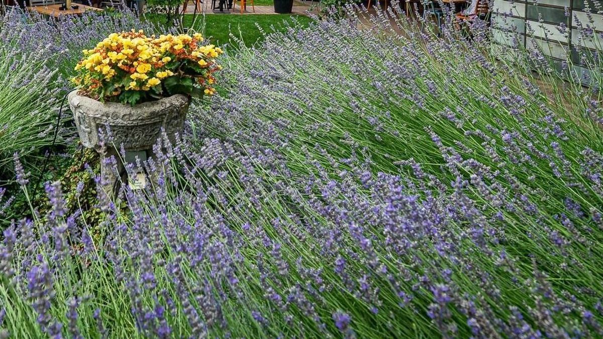 Milliárdos számlagyár: döntenek a titokzatos baloldali háttérember sorsáról