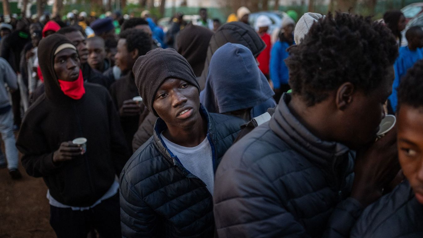 Cikk kép: undefined