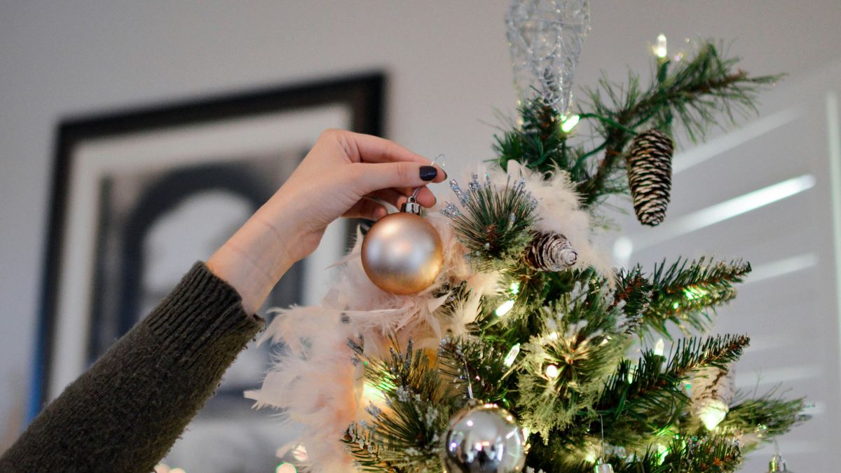 Az „örökzöld” kérdés: műfenyő legyen, vagy inkább valódi? – A magyar tudós tiszta vizet öntött a pohárba