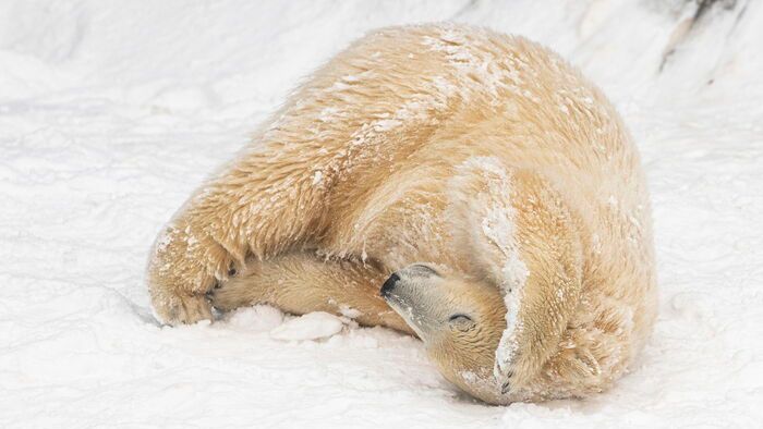 Havazás Nyíregyházán