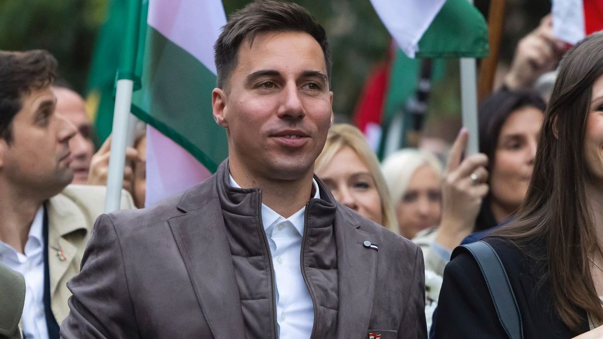 Visszafelé sült el a hergelés: Magyar Péter jobbkezét szétszedték a kommentelők + videó