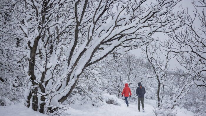 Havazás a Mecsekben