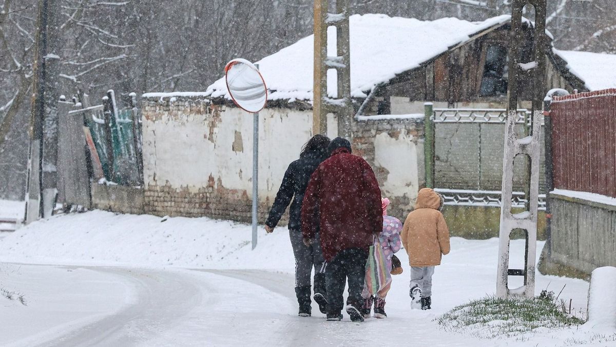 Rászorulóknak segít a kormány az ingyenes tüzelőprogrammal + videó