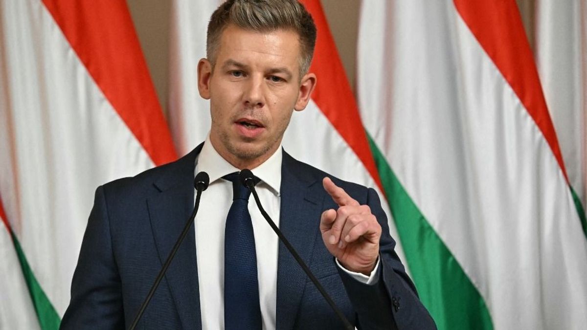 Magyar Péter megfenyegette az Alapjogokért Központot – Szánthó Miklós helyretette + videó