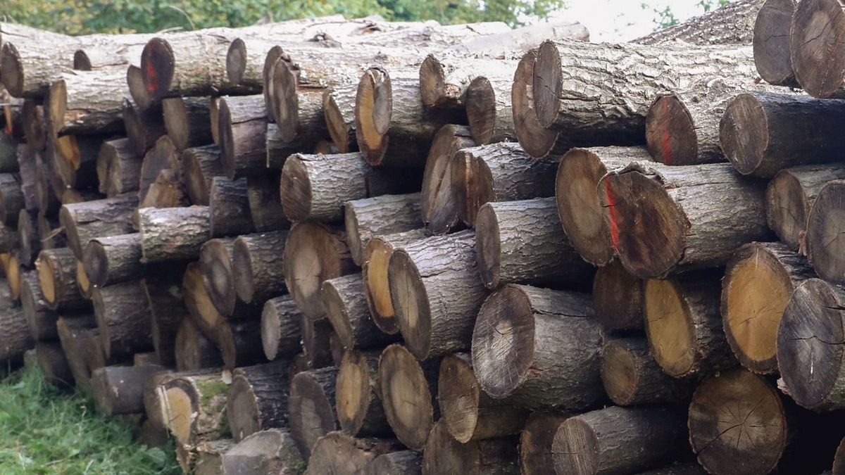 A katonák is besegítenek a tűzifa kiszállításába