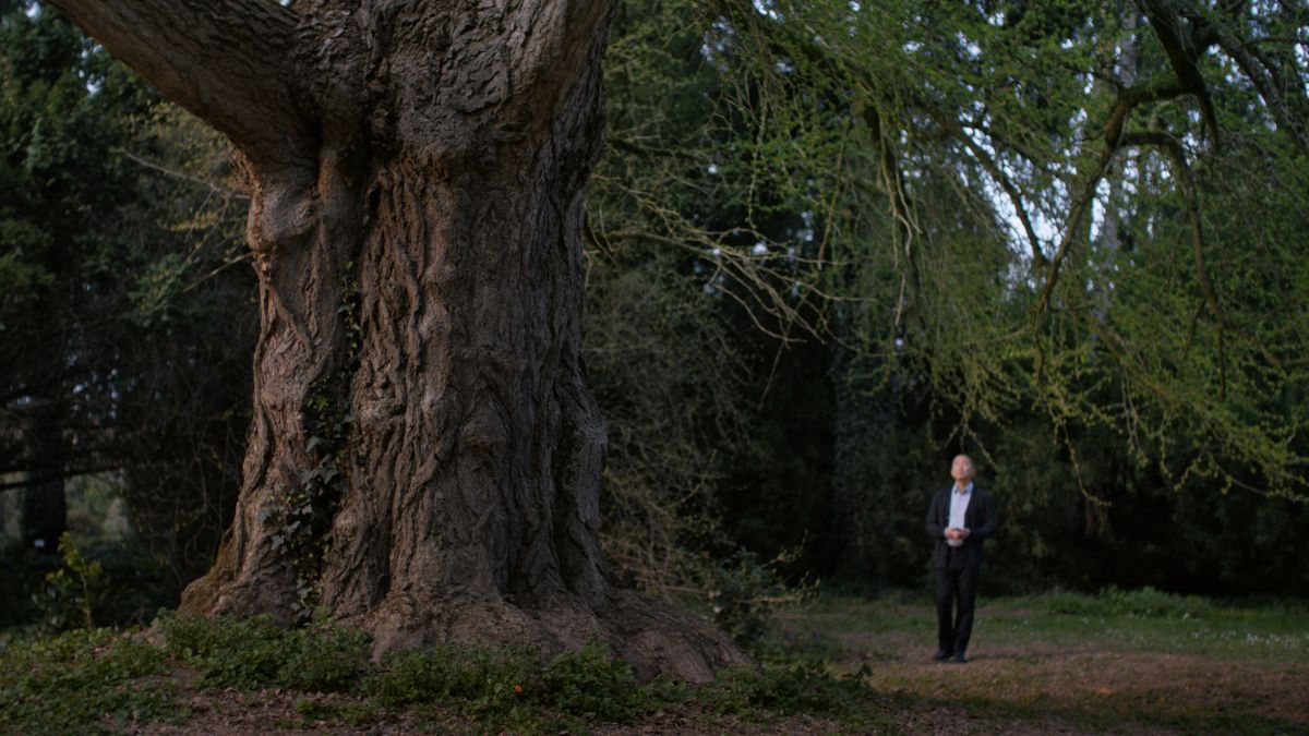 Az emberi élet rövid, a fák élete hosszú