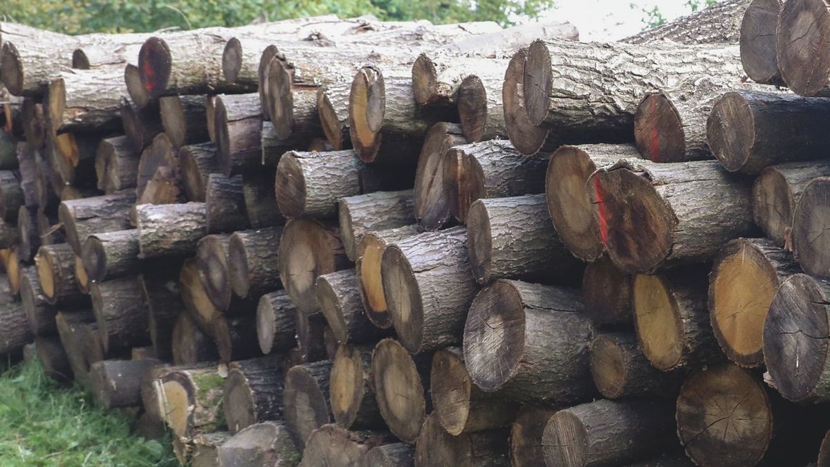 Orbán Viktor: Senki sem marad tűzifa nélkül. Vigyázzunk egymásra! + videó