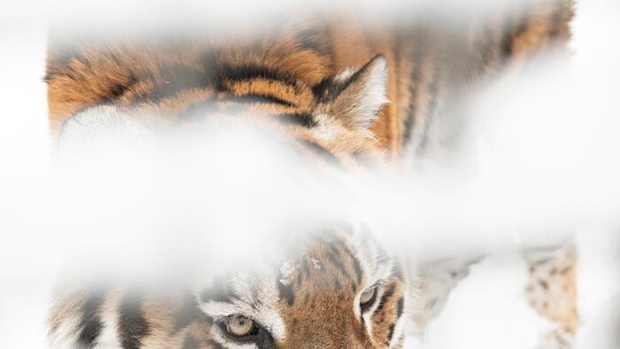 Havazás Nyíregyházán