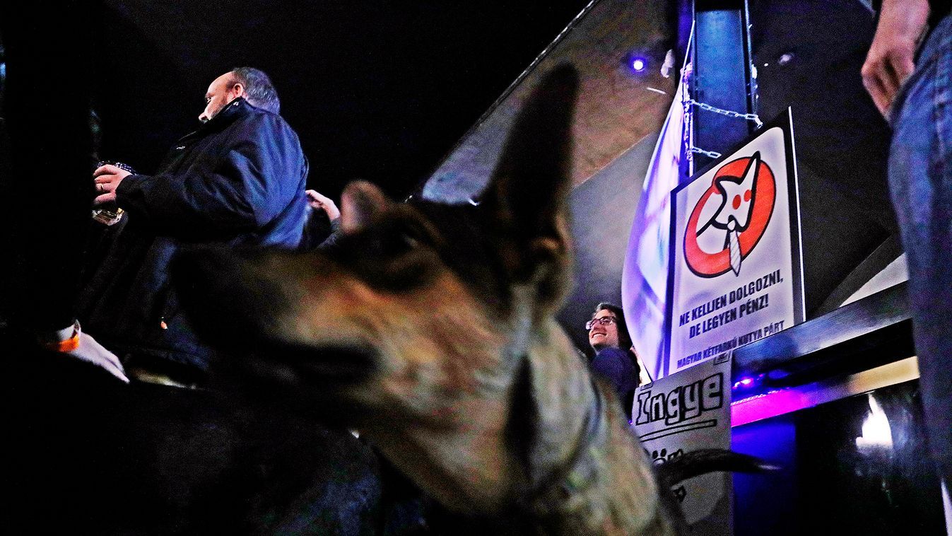 A Magyar Kétfarkú Kutyapárt kihagyja a téli olimpiát.