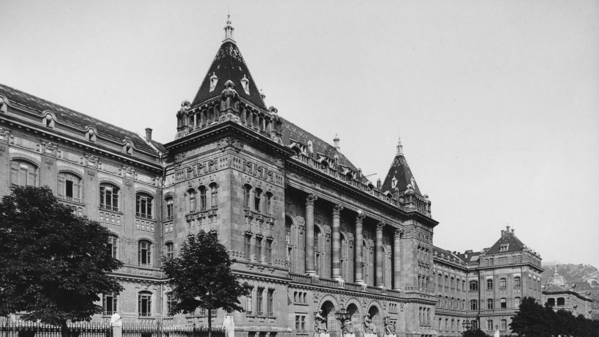 Hazafiságra hivatkozó hamisítók