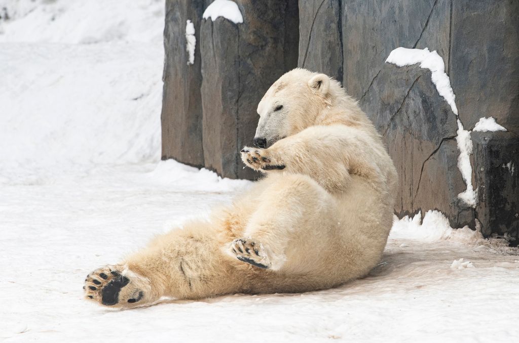 Havazás Nyíregyházán