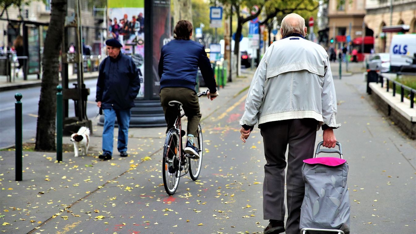 Cikk kép: undefined