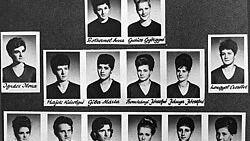 Kvíz kérdést ábrázoló kép.