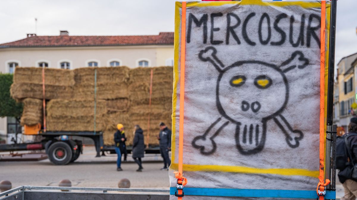 Szabadkereskedelem vagy agrárkatasztrófa - ki fizeti meg az EU-Mercosur-egyezmény árát?