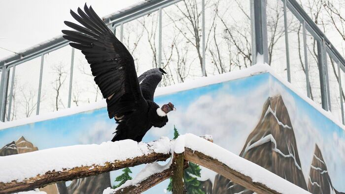 Havazás Nyíregyházán