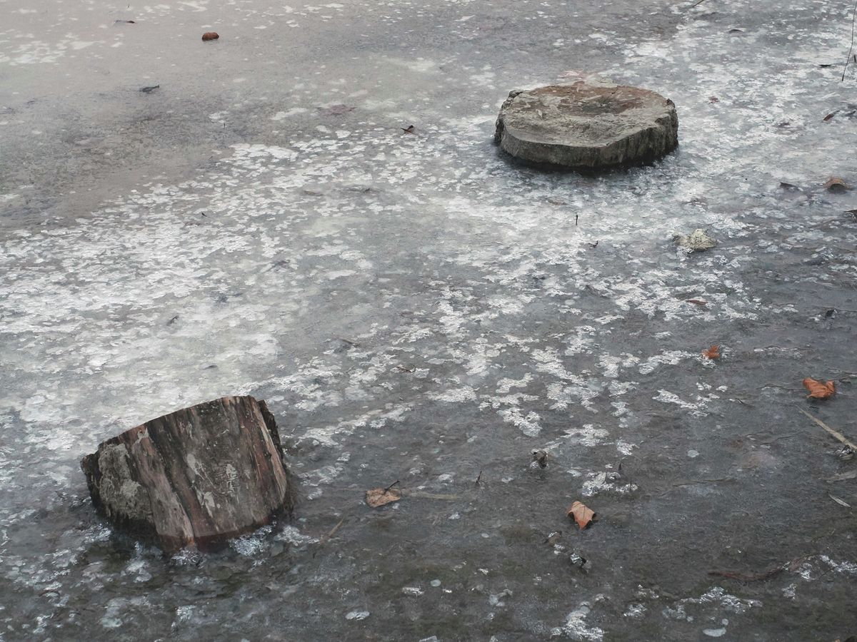 20251231 Balatonfűzfő
A szélvédett öblökben és a parti nádasokban megkezdődött a Balaton jegesedése.
Fotó: Nagy Lajos NL
Veszprém Megyei Napló